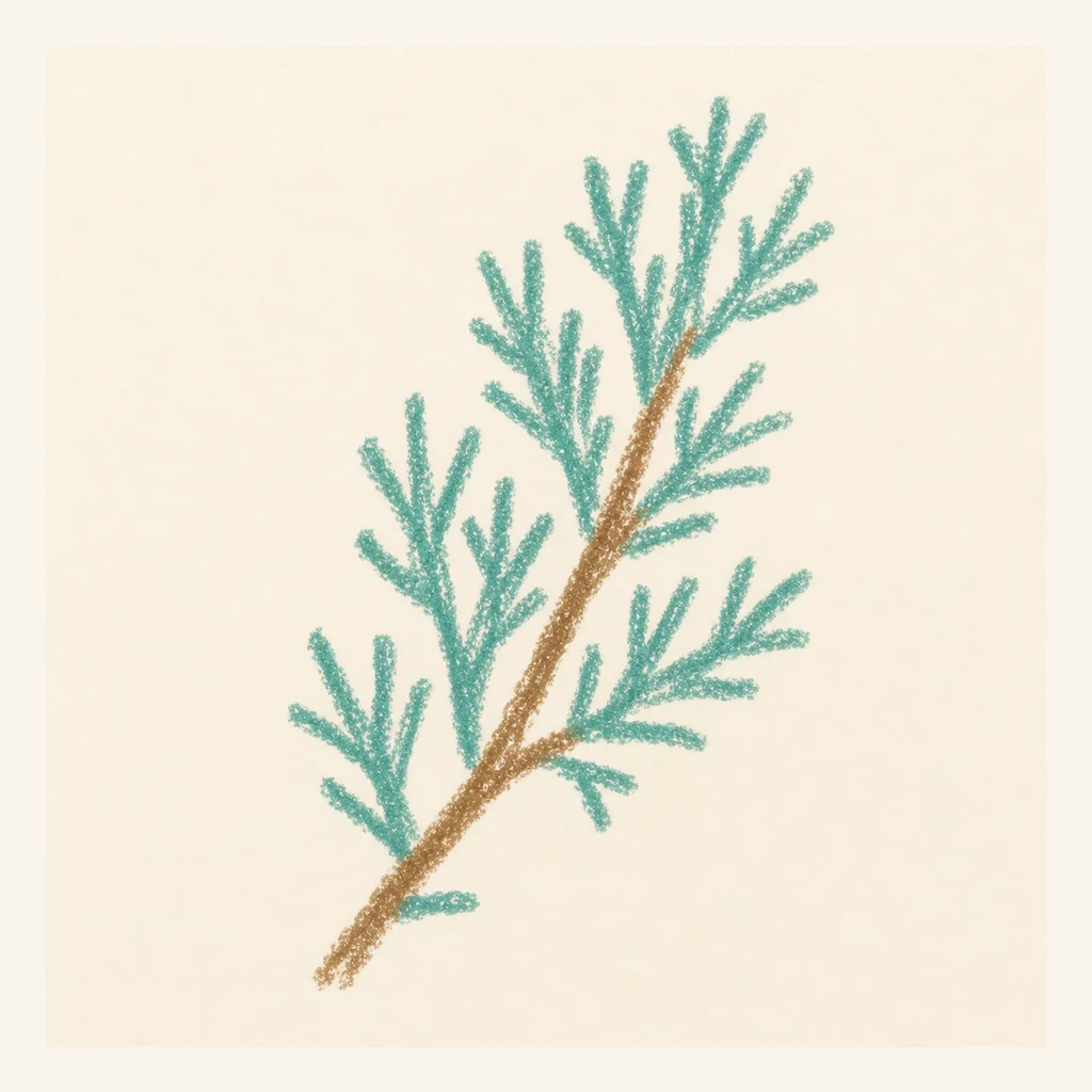 スギの枝のらくがき表示