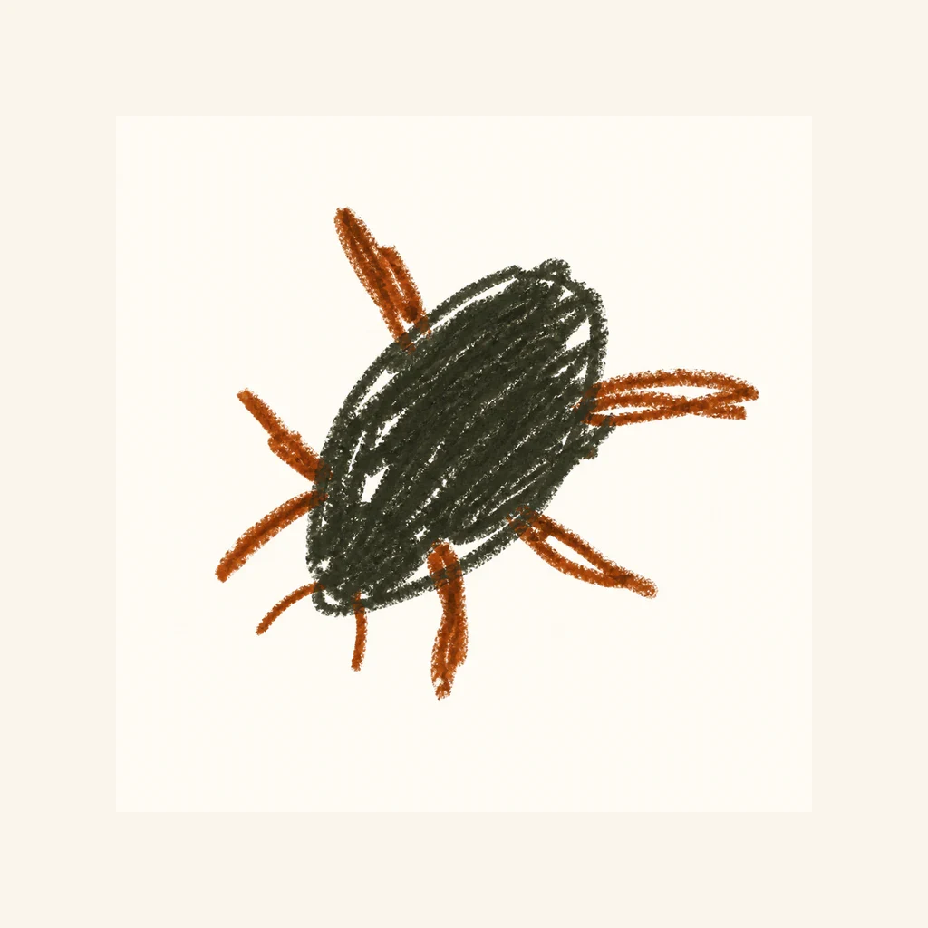 ゲンゴロウのらくがき表示