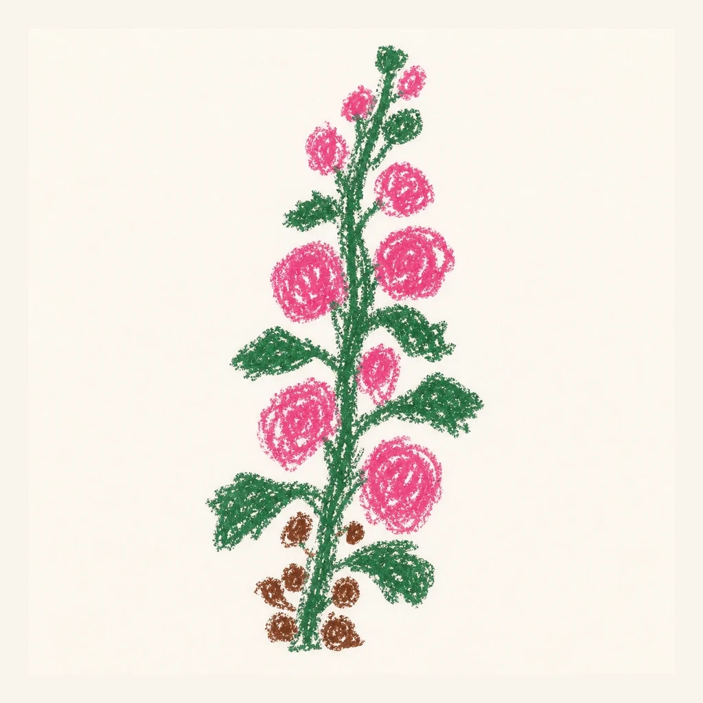 タチアオイの花穂のらくがき表示