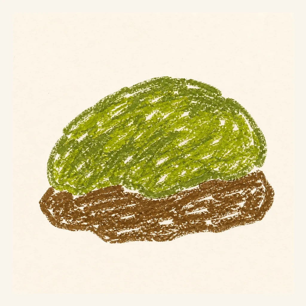 クッションゴケのらくがき表示