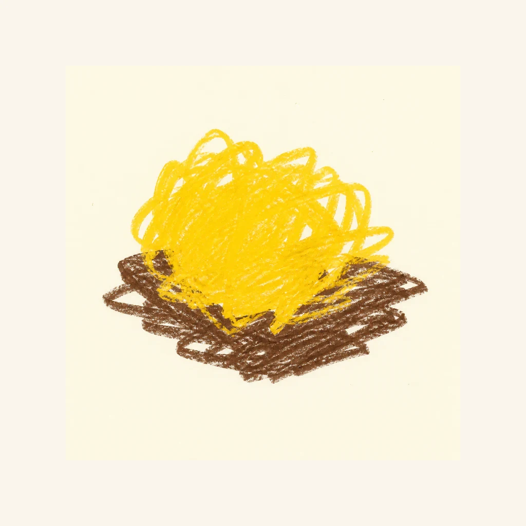ハナビラニカワタケのらくがき表示